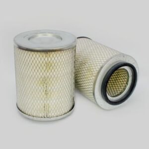 AIR FILTER (P77-1594) (PA2422)